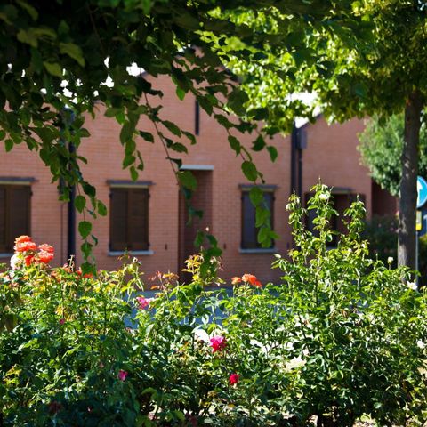 Apartement 4 Personen - Bungalow