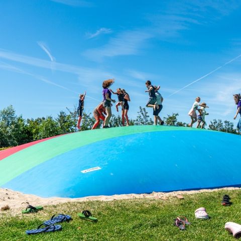 Vakantiepark de Boomgaard - Camping Veere - Image N°4