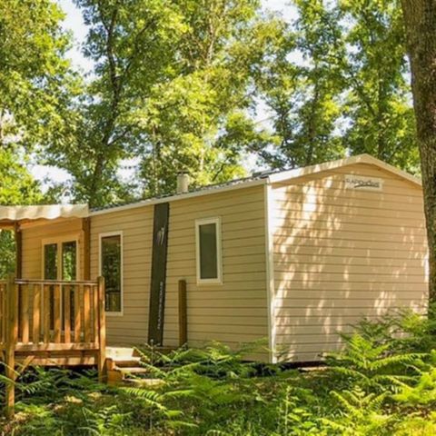 Mobilheim 4 Personen - 4P Premium