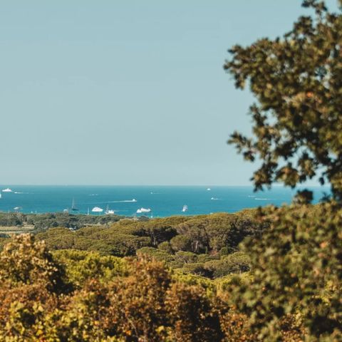 Camping Ladouceur - Ramatuelle Saint Tropez - Camping Var - Image N°6