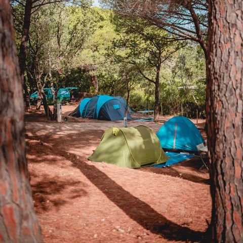 Camping Ladouceur - Ramatuelle Saint Tropez - Var - Image N°5