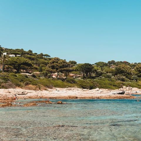 Camping Ladouceur - Ramatuelle Saint Tropez - Camping Var - Image N°3