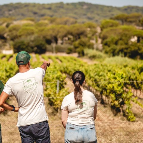 Camping Ladouceur - Ramatuelle Saint Tropez - Var - Image N°2