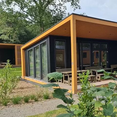 Lodgepark 't Vechtdal - Camping Dalfsen - Image N°4