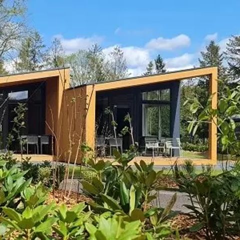 Lodgepark 't Vechtdal - Camping Dalfsen - Image N°3