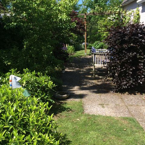 Bungalow 5 Personen - Düne 123