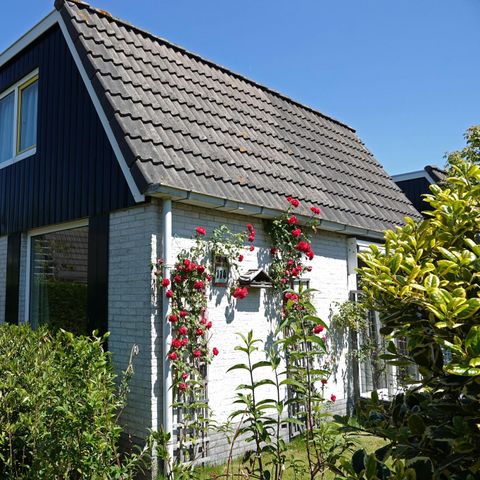 Bungalow 6 personen - Düne 114
