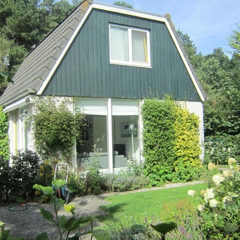 Bungalowpark Mooyeveld - Camping Bergen - Image N°2