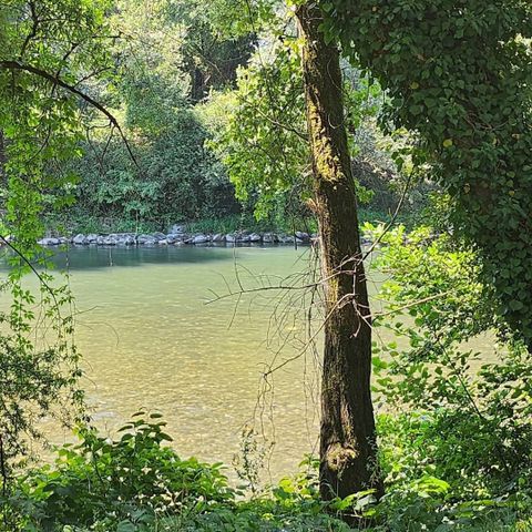 Mobilheim 4 Personen - Mobilheim 2 Schlafzimmer 2 Badezimmer - Lescar MH D019