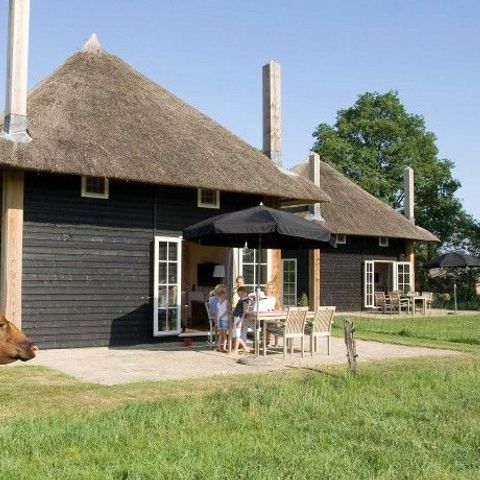 FERIENHAUS 5 Personen - Reggehooiberg