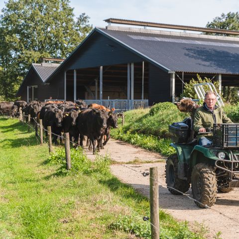 FERIENHAUS 5 Personen - Reggehooiberg