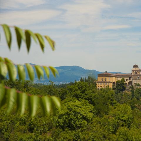 hu Firenze Certosa camping - Camping Florenz - Image N°5