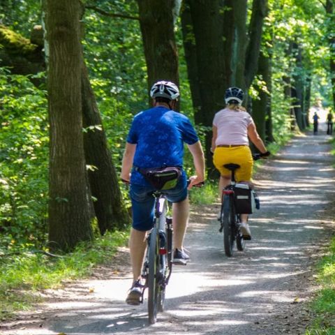 Urban Gardens Ieper - Camping Westflandern - Image N°5