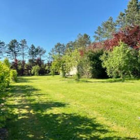 AUßERGEWÖHNLICHE UNTERKUNFT 2 Personen - Pine Tree Tiny Cottage