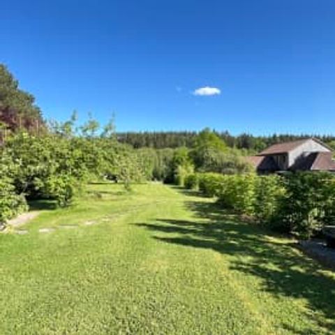 AUßERGEWÖHNLICHE UNTERKUNFT 2 Personen - Pine Tree Tiny Cottage