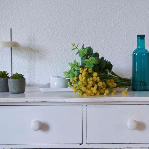 Villa 4 Personen - Elsass