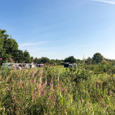 Stellplatz - Komfort