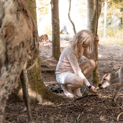 Valkeisen Loma - Central Finland - Image N°2