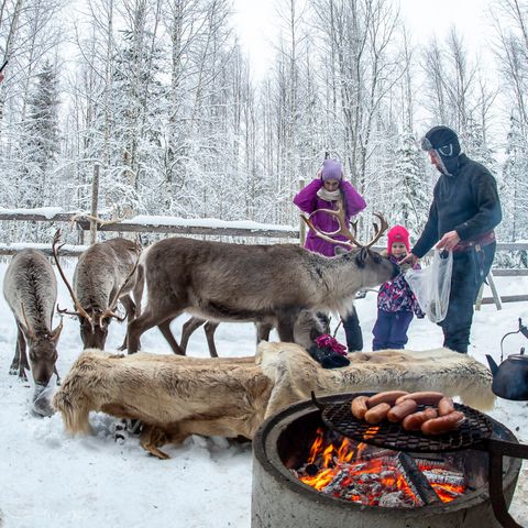 Valkeisen Loma - Central Finland - Image N°4