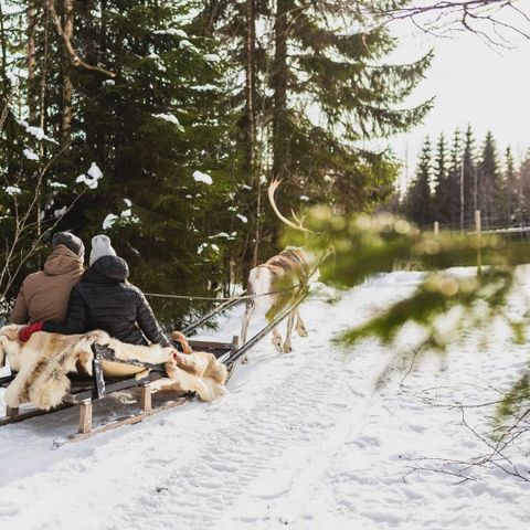 Valkeisen Loma - Central Finland - Image N°3
