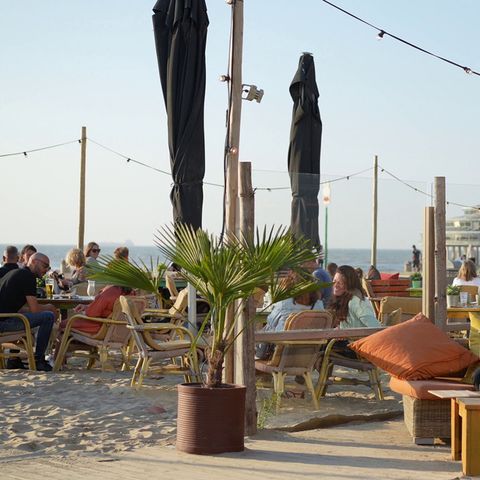 Roompot Beach Villa's - Camping Rotterdam - Image N°4