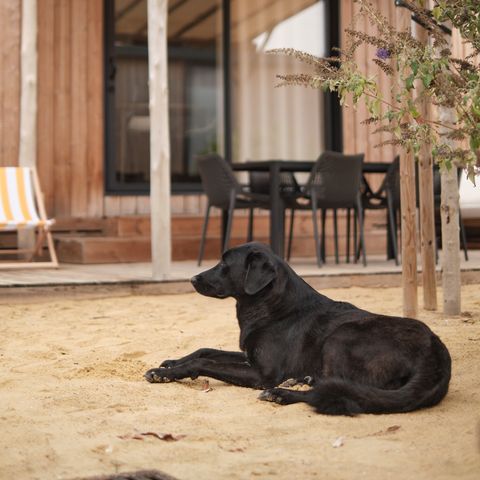LODGE 6 Personen - Marsanne 6 Dog Friendly