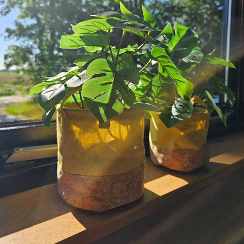 LODGE 3 Personen - Die Spjocht