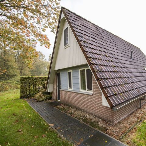 Bungalow 6 Personen - Teichrohrsänger 118
