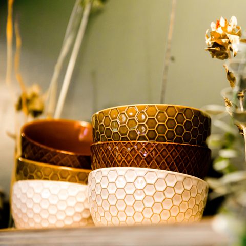 LODGE 4 Personen - Wasserhaus Sweltsje