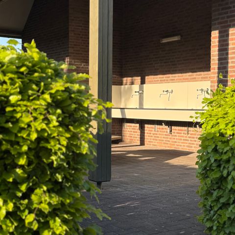 Zelt 4 Personen - Glockenzelt