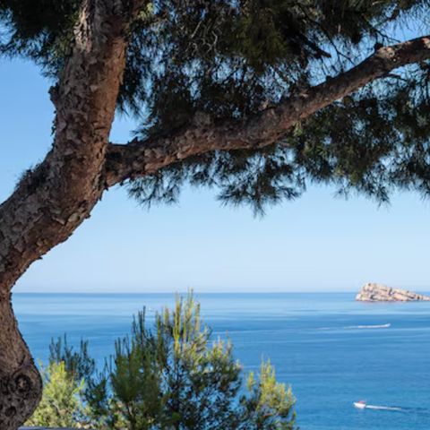 Pierre & Vacances Résidence Benidorm Horizon - Alicante - Image N°6