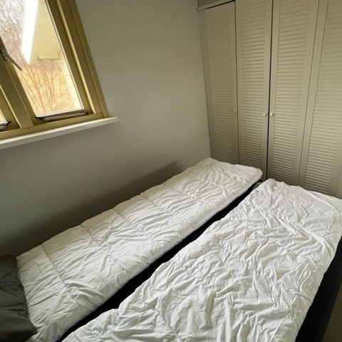 Bungalow 2 personen - Dünenhütte „Kiekendief“ mit Whirlpool