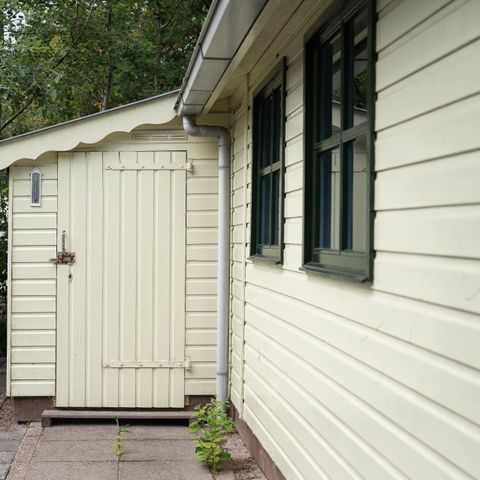 Bungalow 4 personen - ZeeHut Silberregenpfeifer