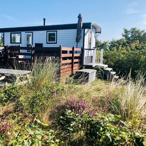 Bungalow 4 personen - Zirkuswagen