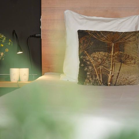 Zimmer 2 Personen - Eeltjesmar Bauernhof Zimmer