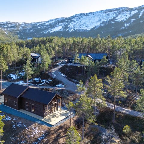 Fjord Rentals - Telemark - Image N°3