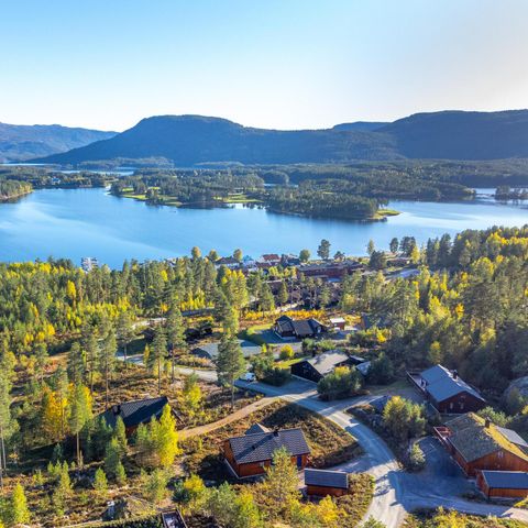 Fjord Rentals - Telemark - Image N°4