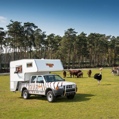 Unterkunft 4 personen - Ranger
