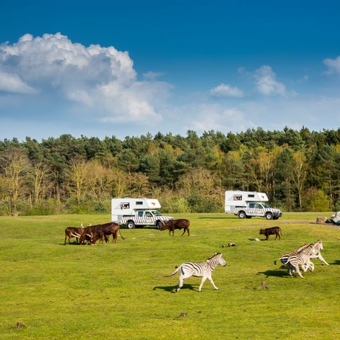 AUßERGEWÖHNLICHE UNTERKUNFT 4 Personen - Ranger