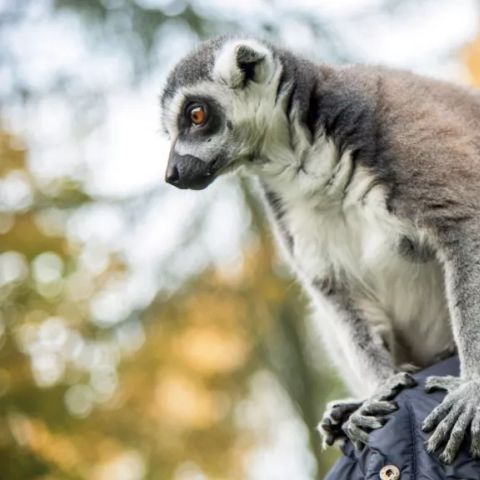 Serengeti Park - Niedersachsen - Image N°5