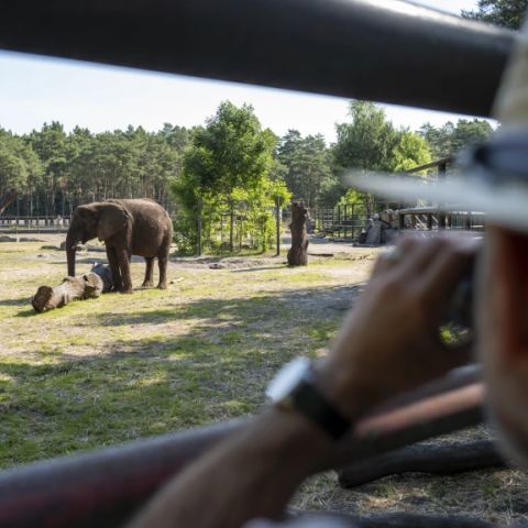 Serengeti Park - Niedersachsen - Image N°6