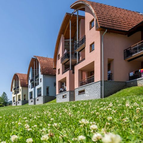 Landal Marina Lipno - Bohême-du-Sud - Image N°4