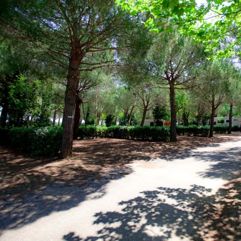 Stellplatz