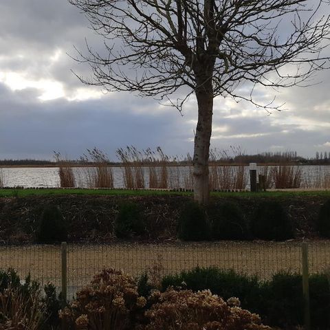 Bungalow 4 Personen - Weidenrose - Heron Avenue 202