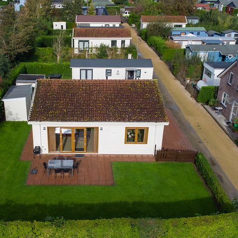 Bungalow 8 Personen - Weidenrose - Lilac Avenue 142