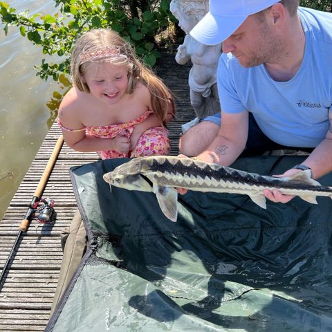 Vakantiepark De Groote Vliet - Medemblik - Image N°5