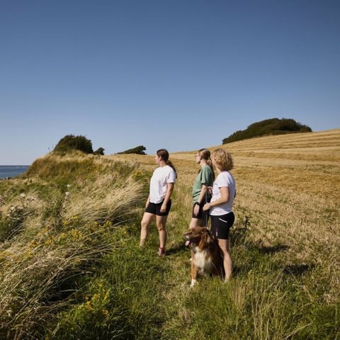 Vodatent Emmerbølle Strand Camping - Süd-Dänemark - Image N°4