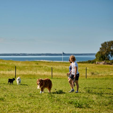 Vodatent Emmerbølle Strand Camping - Süd-Dänemark - Image N°3