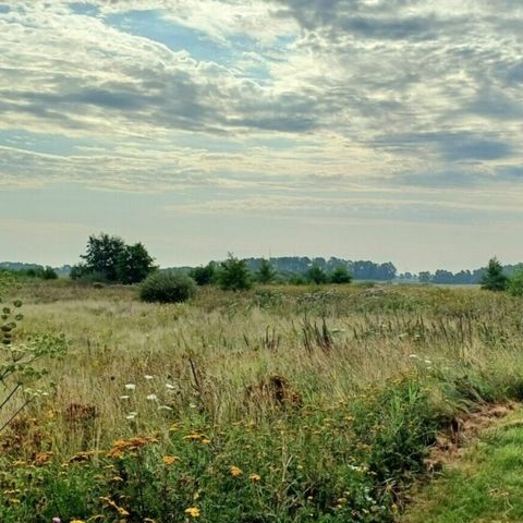 Vodatent Camping Hunze Bulten - Aa und Hunze - Image N°5