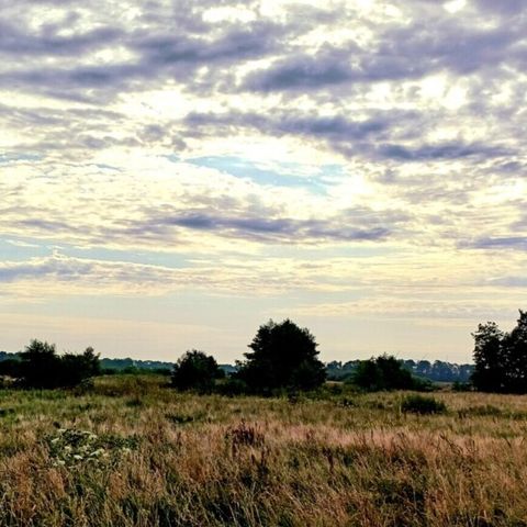 Vodatent Camping Hunze Bulten - Aa und Hunze - Image N°4